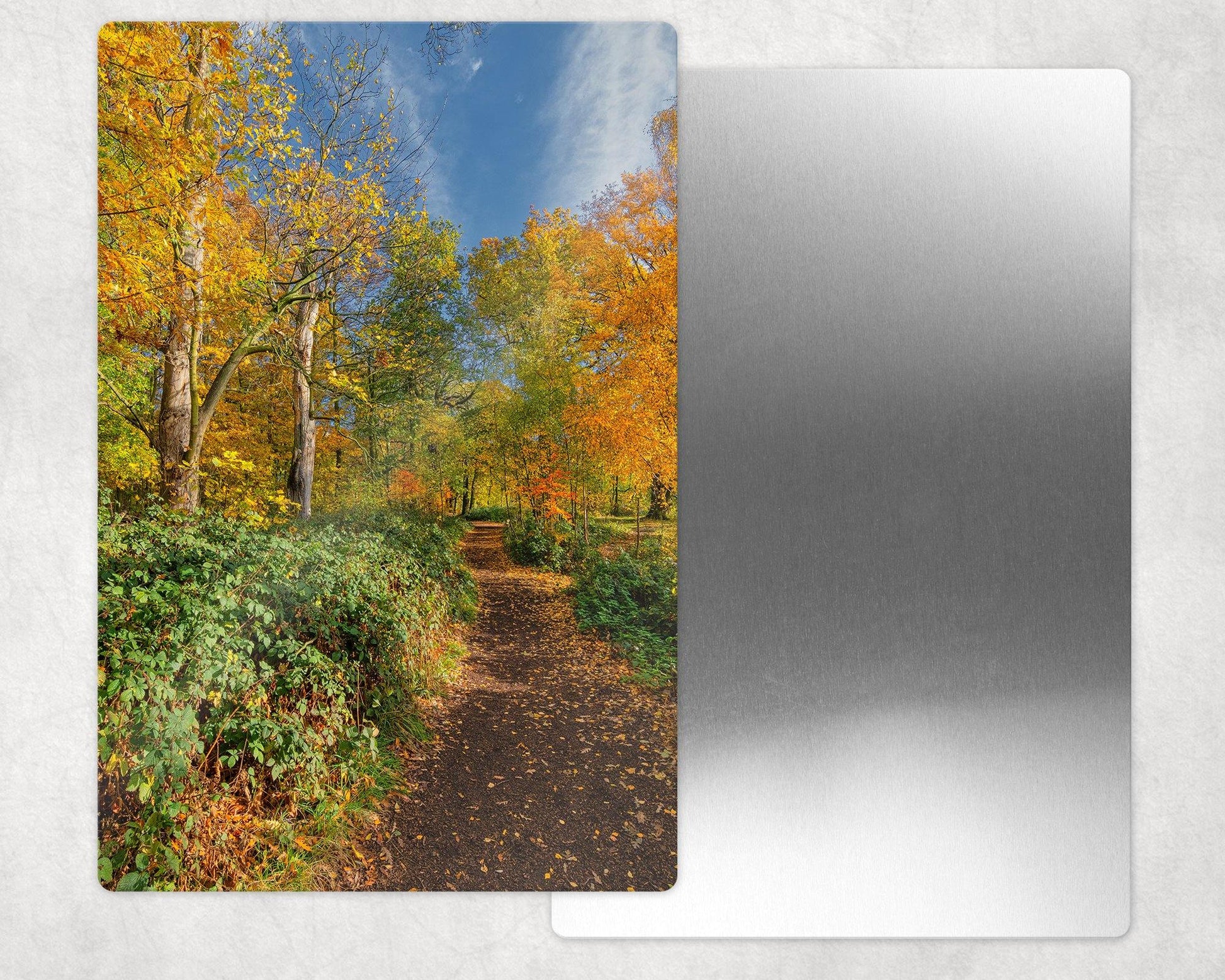 Autumn Trail Metal Photo Panel - 8x12 or 12x18 - Schoppix Gifts